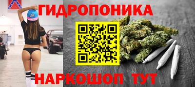 МДПВ Гусев